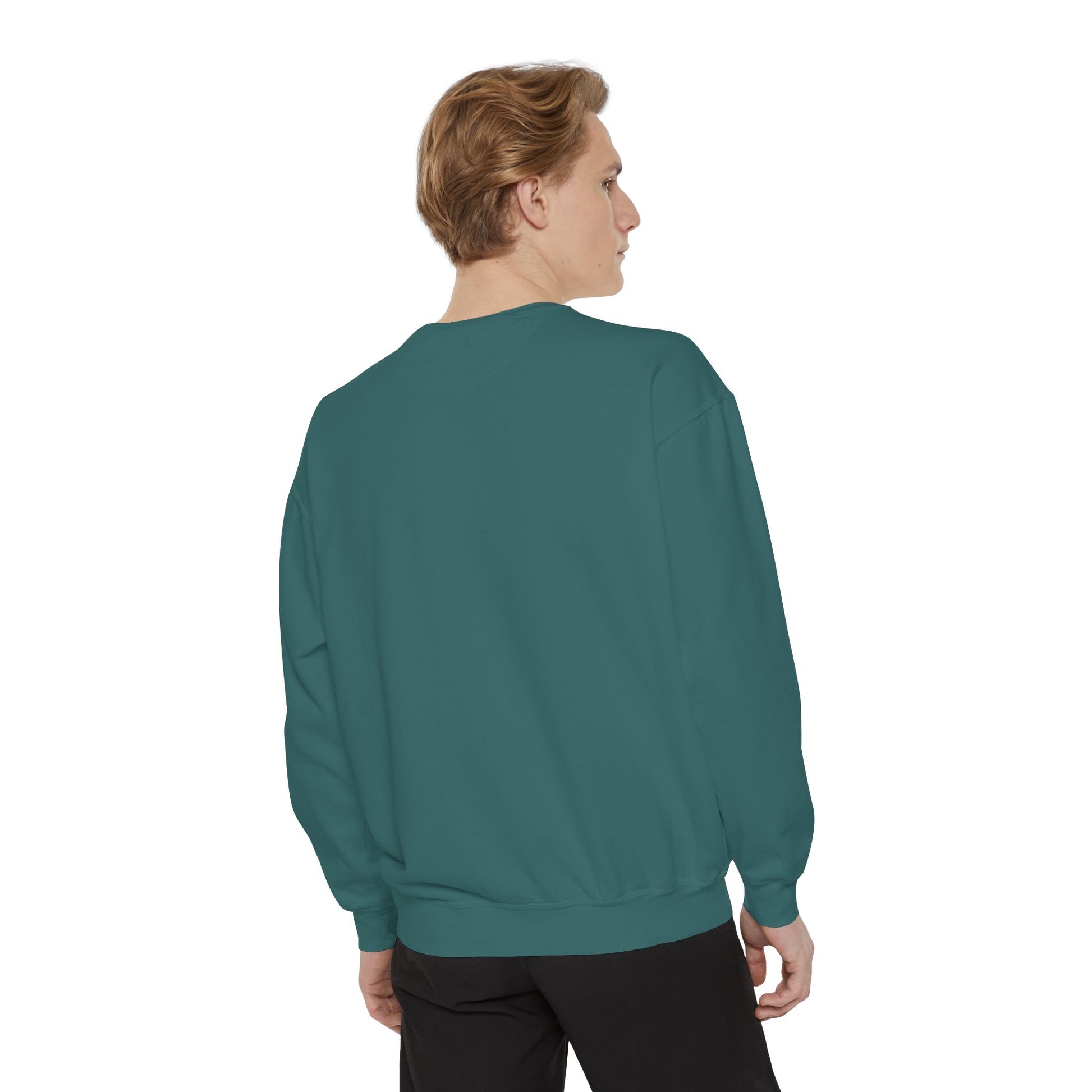 Boston City Skyline Unisex Sweatshirt, Cozy Streetwear, Perfect for Fall Outfits, Gift for Boston Lovers, Travel Apparel