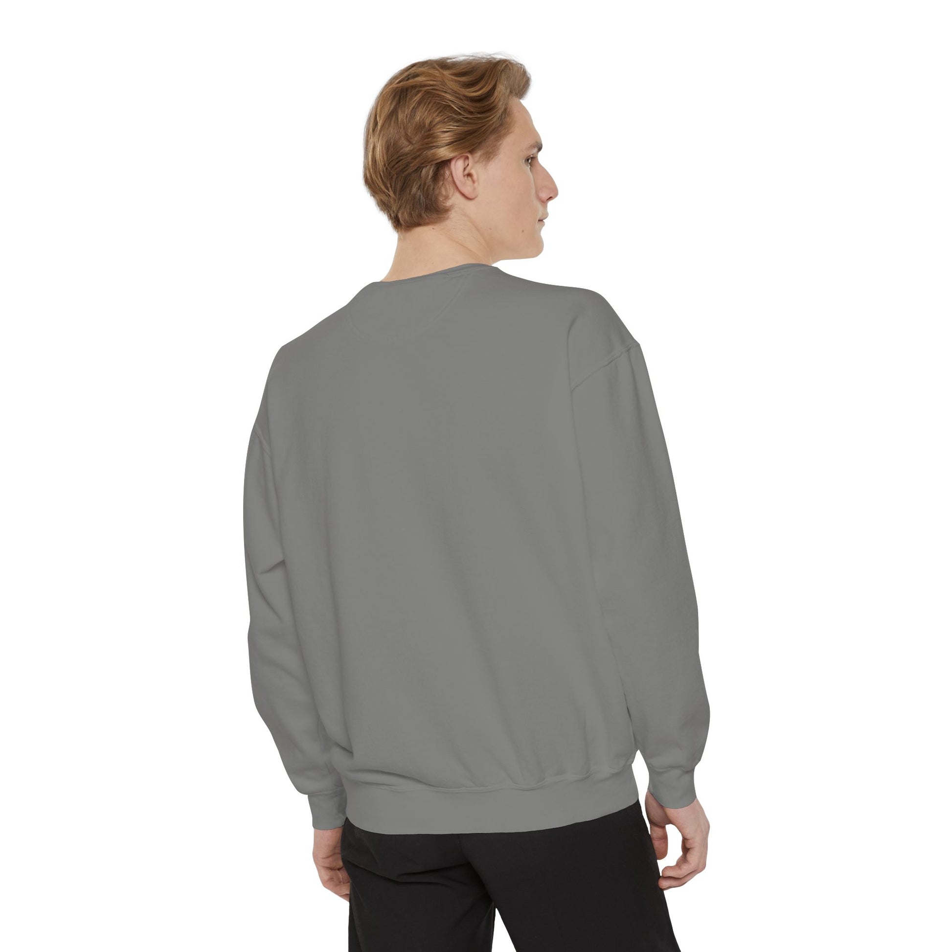 Boston City Skyline Unisex Sweatshirt, Cozy Streetwear, Perfect for Fall Outfits, Gift for Boston Lovers, Travel Apparel