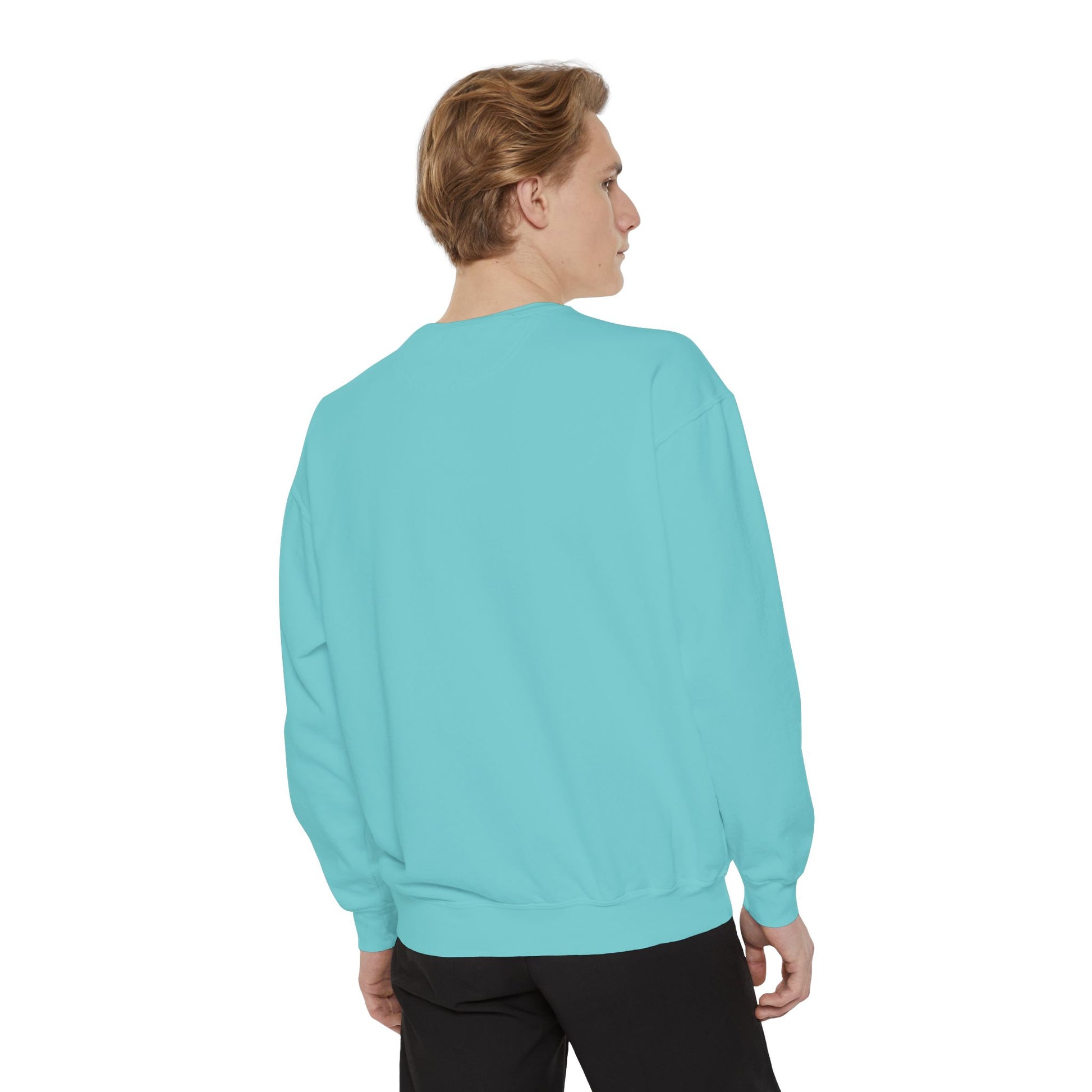 Boston City Skyline Unisex Sweatshirt, Cozy Streetwear, Perfect for Fall Outfits, Gift for Boston Lovers, Travel Apparel