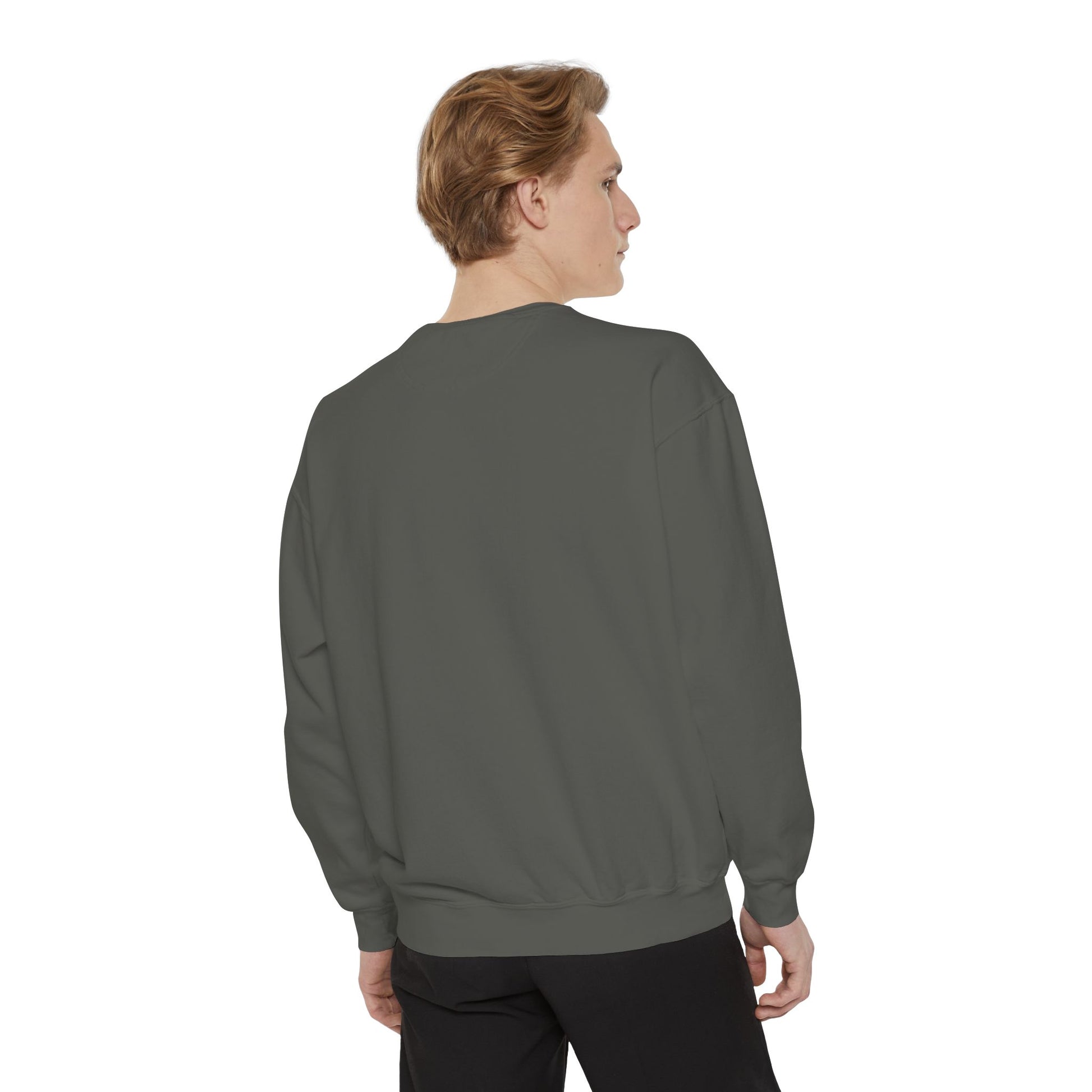 Boston City Skyline Unisex Sweatshirt, Cozy Streetwear, Perfect for Fall Outfits, Gift for Boston Lovers, Travel Apparel