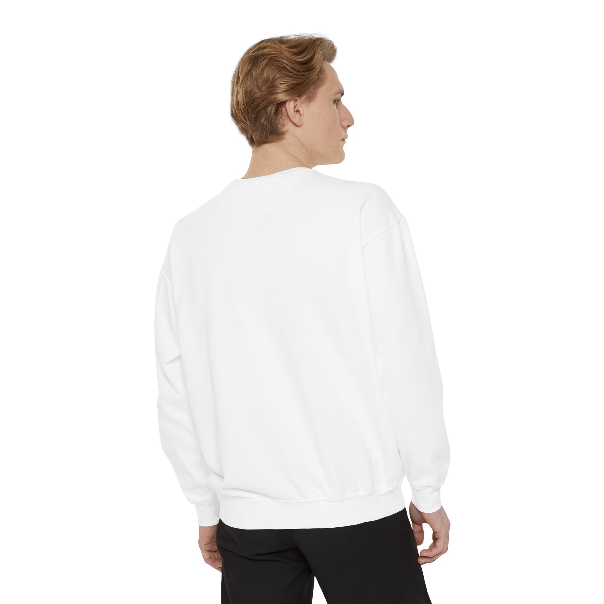 Boston City Skyline Unisex Sweatshirt, Cozy Streetwear, Perfect for Fall Outfits, Gift for Boston Lovers, Travel Apparel