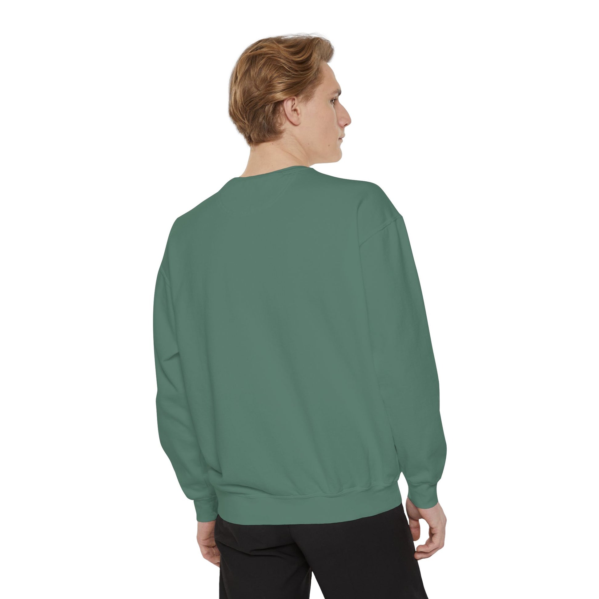 Boston City Skyline Unisex Sweatshirt, Cozy Streetwear, Perfect for Fall Outfits, Gift for Boston Lovers, Travel Apparel