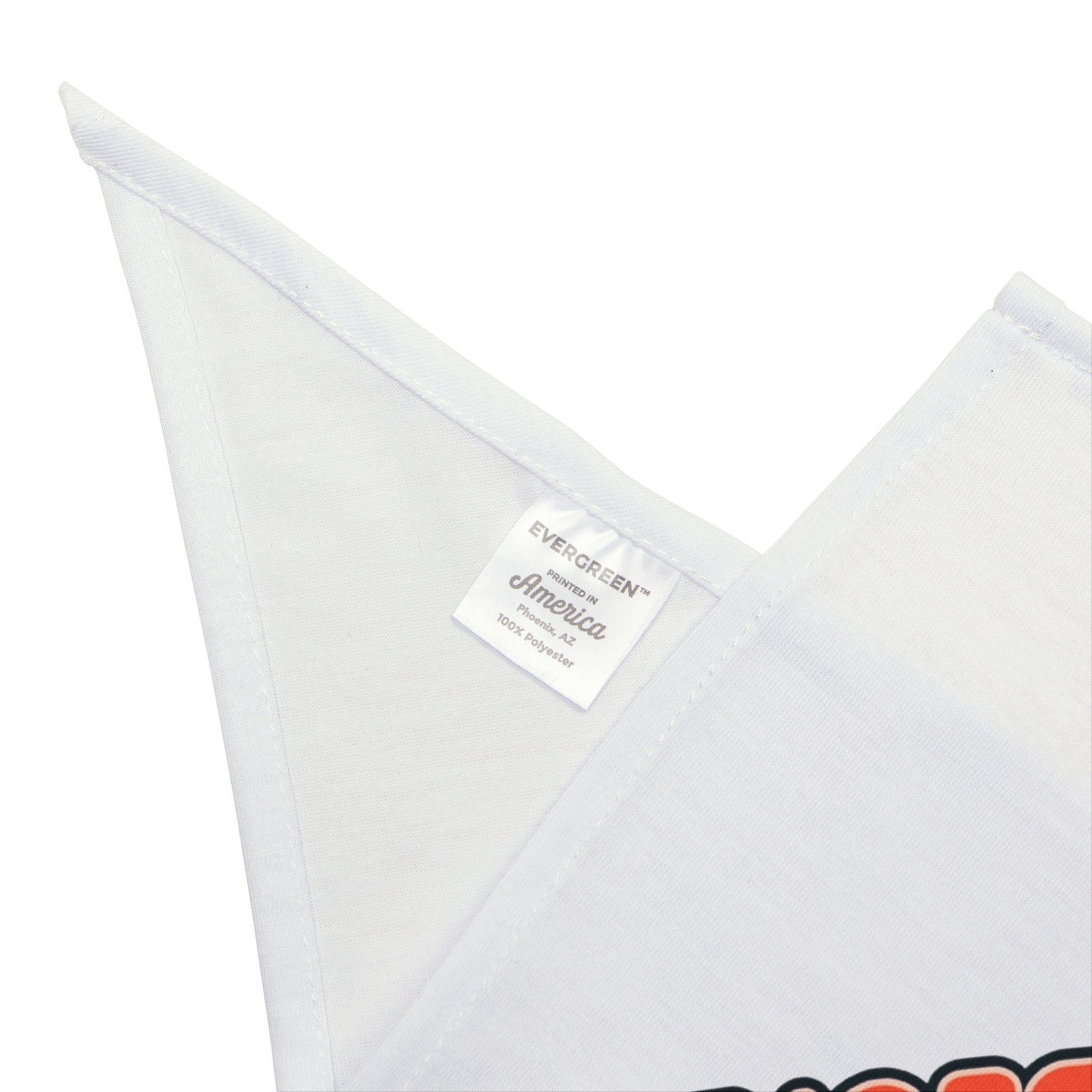 Boston City Pet Bandana | Cute Dog Accessory for Pet Lovers | Customizable Dog Scarf | Gift for Dog Owners | Dog Fashion