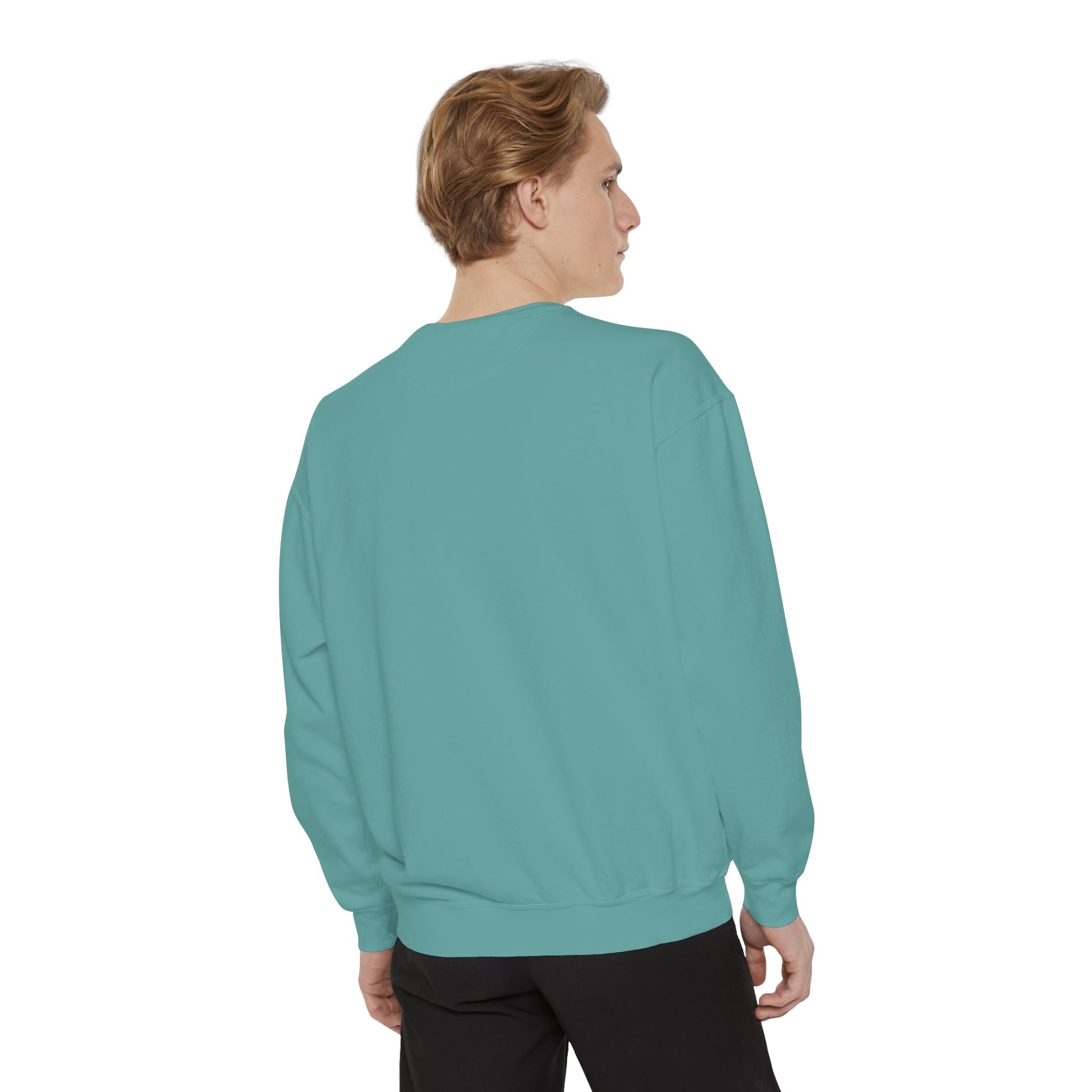 Boston City Skyline Unisex Sweatshirt, Cozy Streetwear, Perfect for Fall Outfits, Gift for Boston Lovers, Travel Apparel