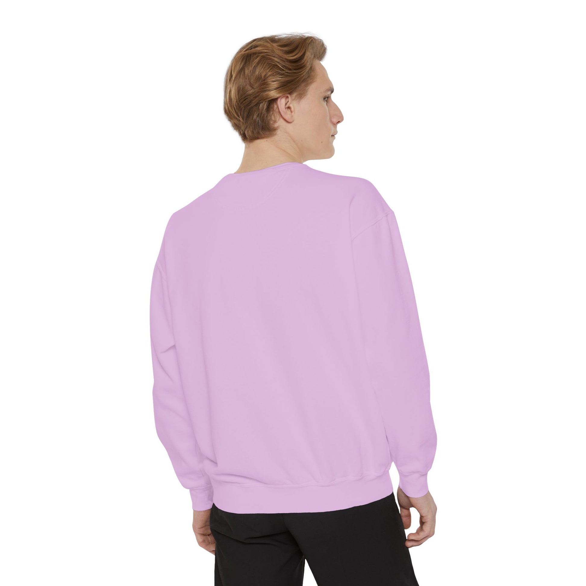 Boston City Skyline Unisex Sweatshirt, Cozy Streetwear, Perfect for Fall Outfits, Gift for Boston Lovers, Travel Apparel