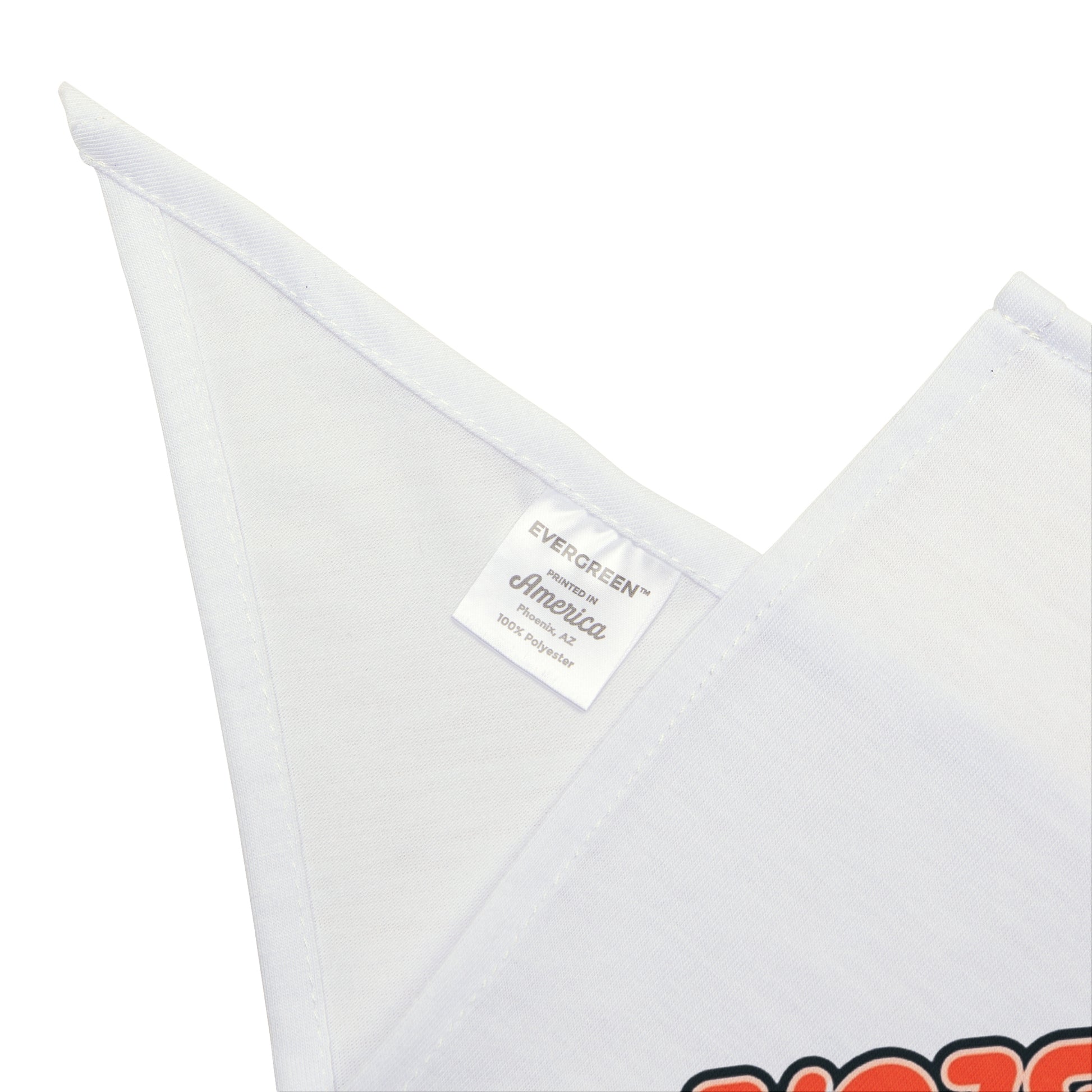 Boston City Pet Bandana | Cute Dog Accessory for Pet Lovers | Customizable Dog Scarf | Gift for Dog Owners | Dog Fashion