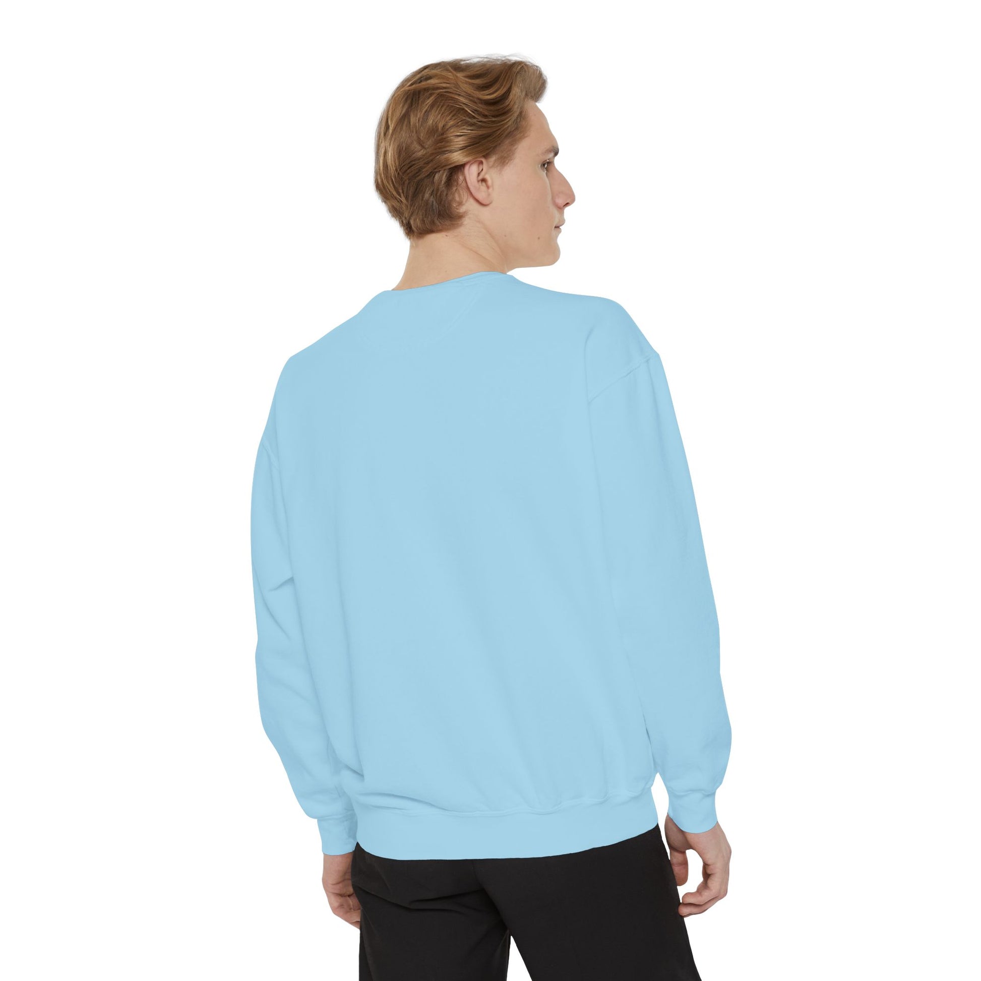 Boston City Skyline Unisex Sweatshirt, Cozy Streetwear, Perfect for Fall Outfits, Gift for Boston Lovers, Travel Apparel