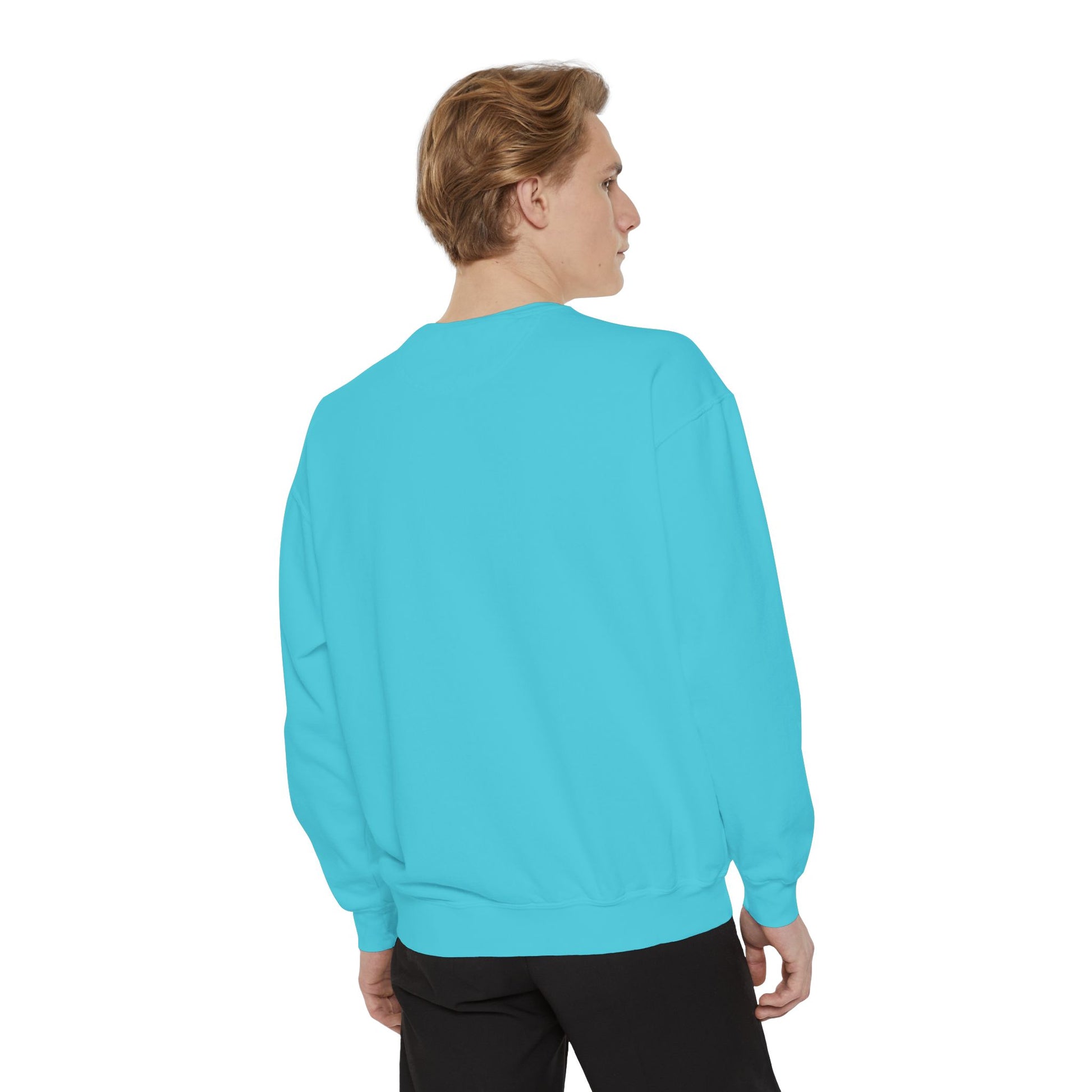 Boston City Skyline Unisex Sweatshirt, Cozy Streetwear, Perfect for Fall Outfits, Gift for Boston Lovers, Travel Apparel