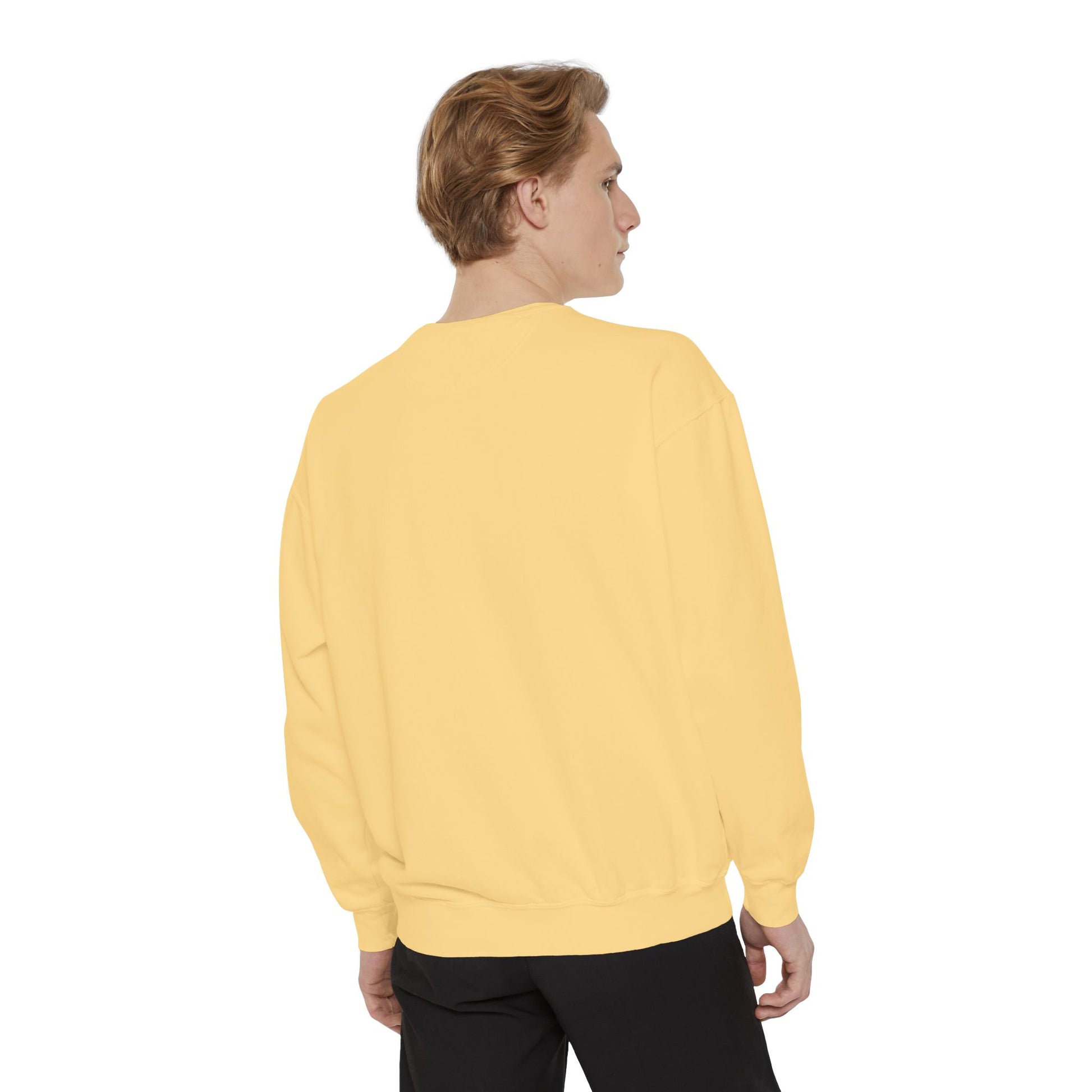 Boston City Skyline Unisex Sweatshirt, Cozy Streetwear, Perfect for Fall Outfits, Gift for Boston Lovers, Travel Apparel