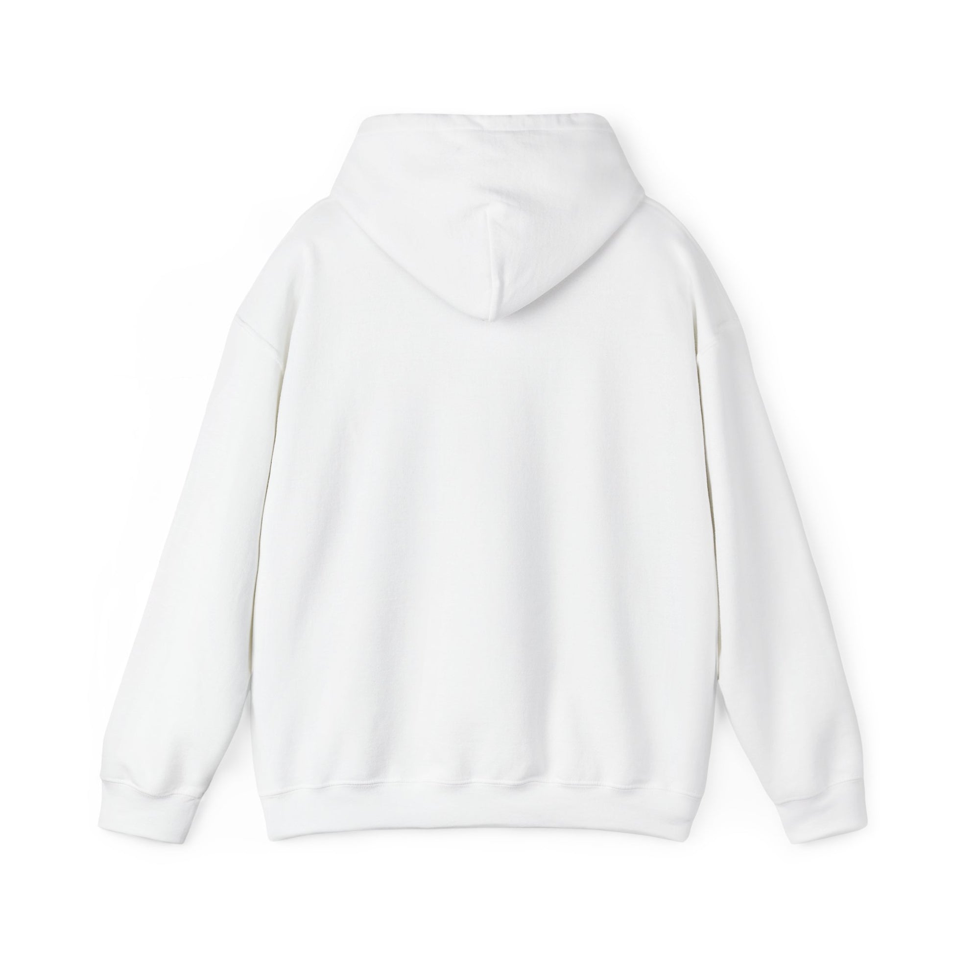 Boston Skyline Unisex Hoodie, Cozy Apparel for Boston Lovers
