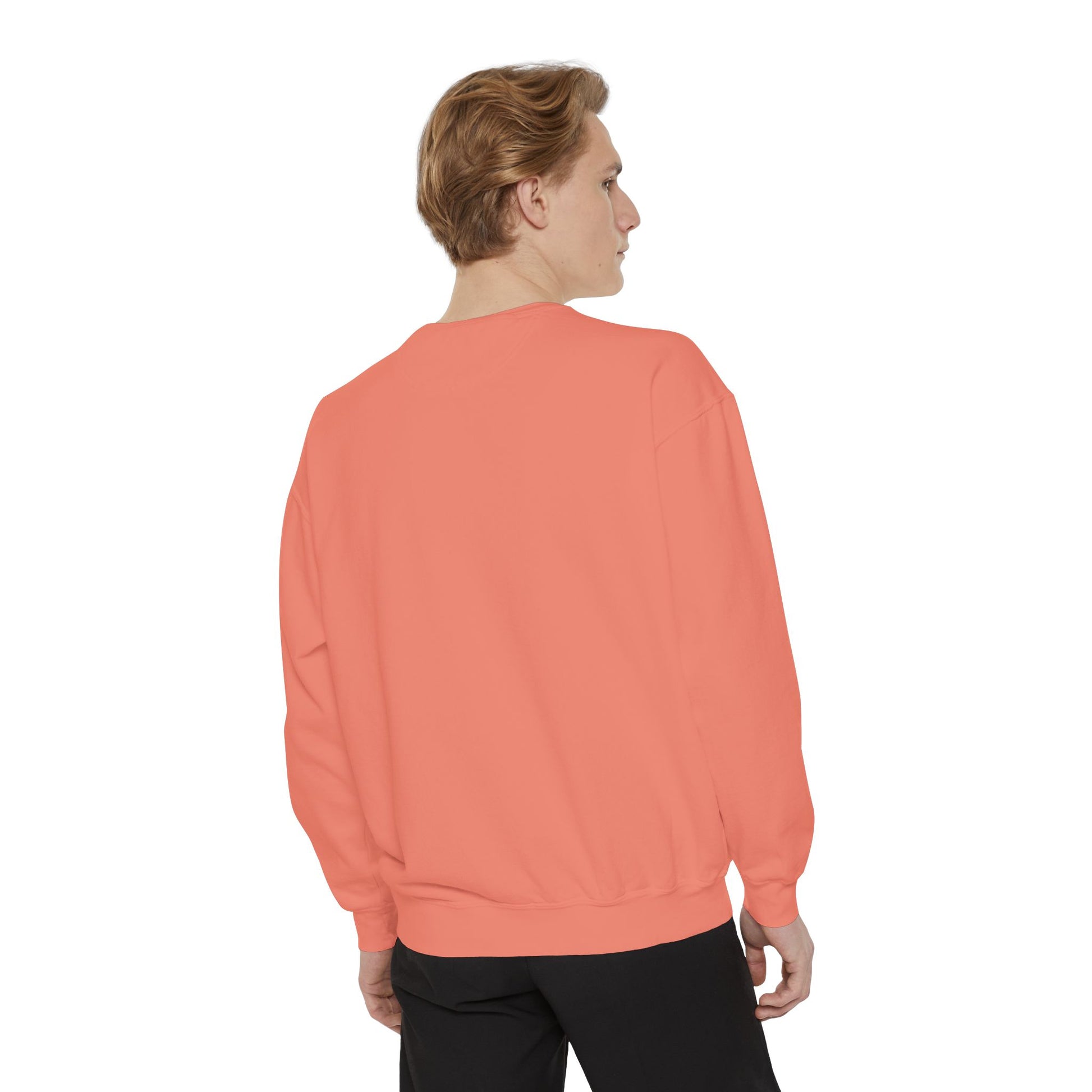 Boston City Skyline Unisex Sweatshirt, Cozy Streetwear, Perfect for Fall Outfits, Gift for Boston Lovers, Travel Apparel