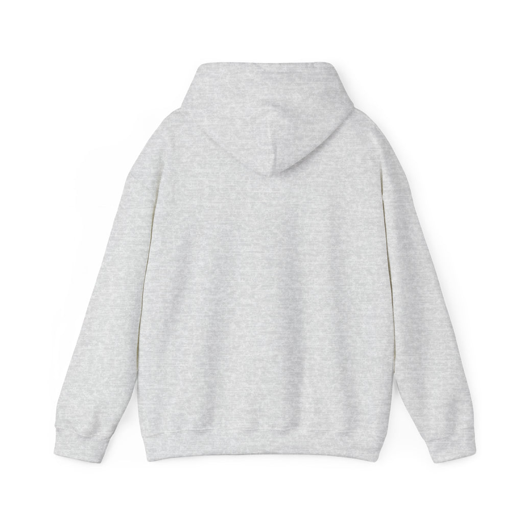 Boston Skyline Unisex Hoodie, Cozy Apparel for Boston Lovers