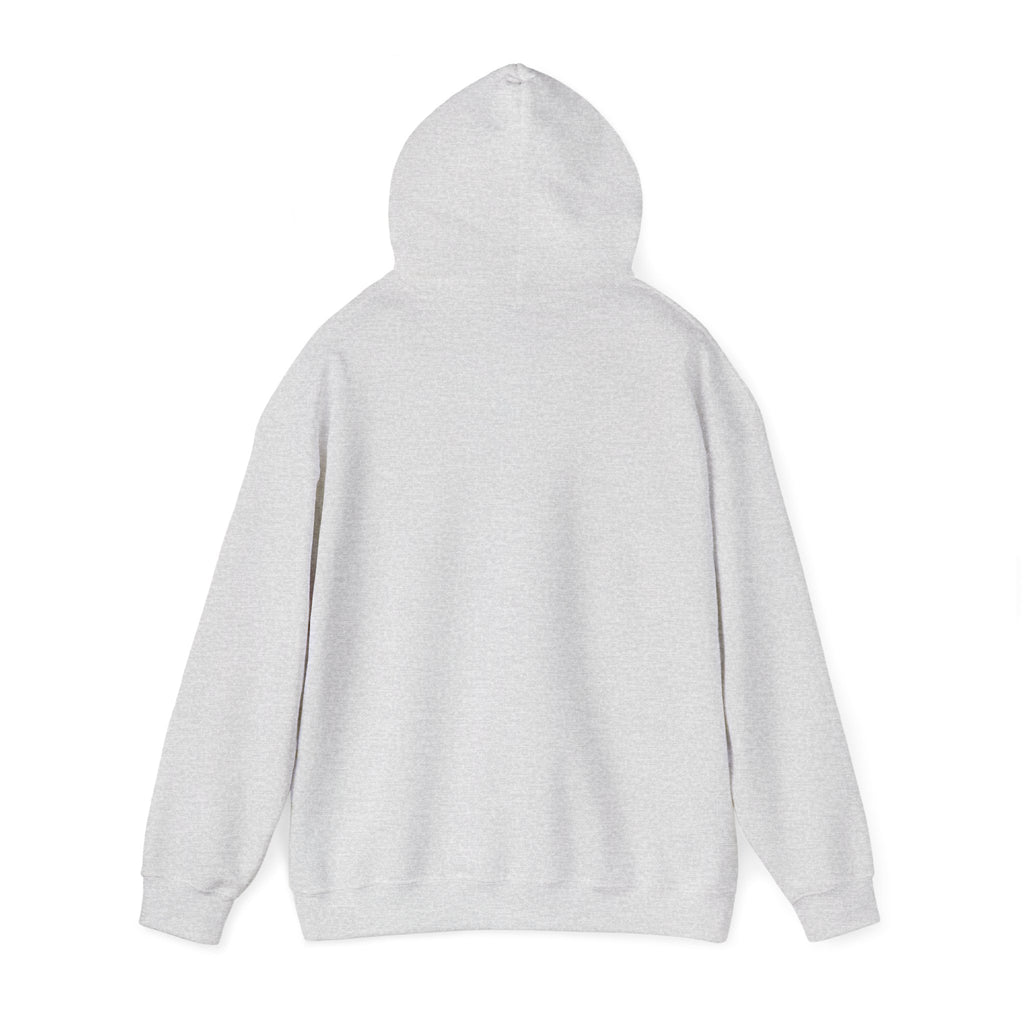 Boston Skyline Unisex Hoodie, Cozy Apparel for Boston Lovers