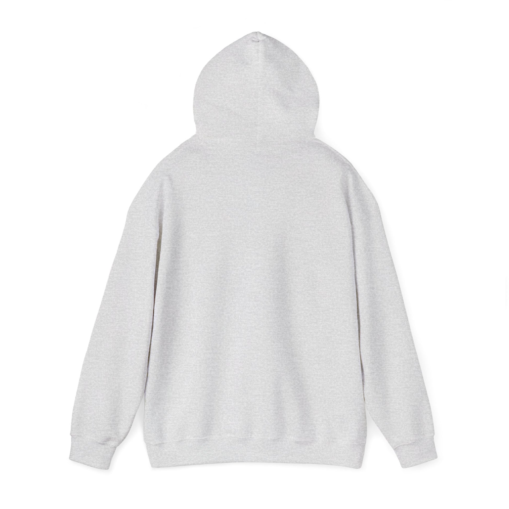 Boston Skyline Unisex Hoodie, Cozy Apparel for Boston Lovers