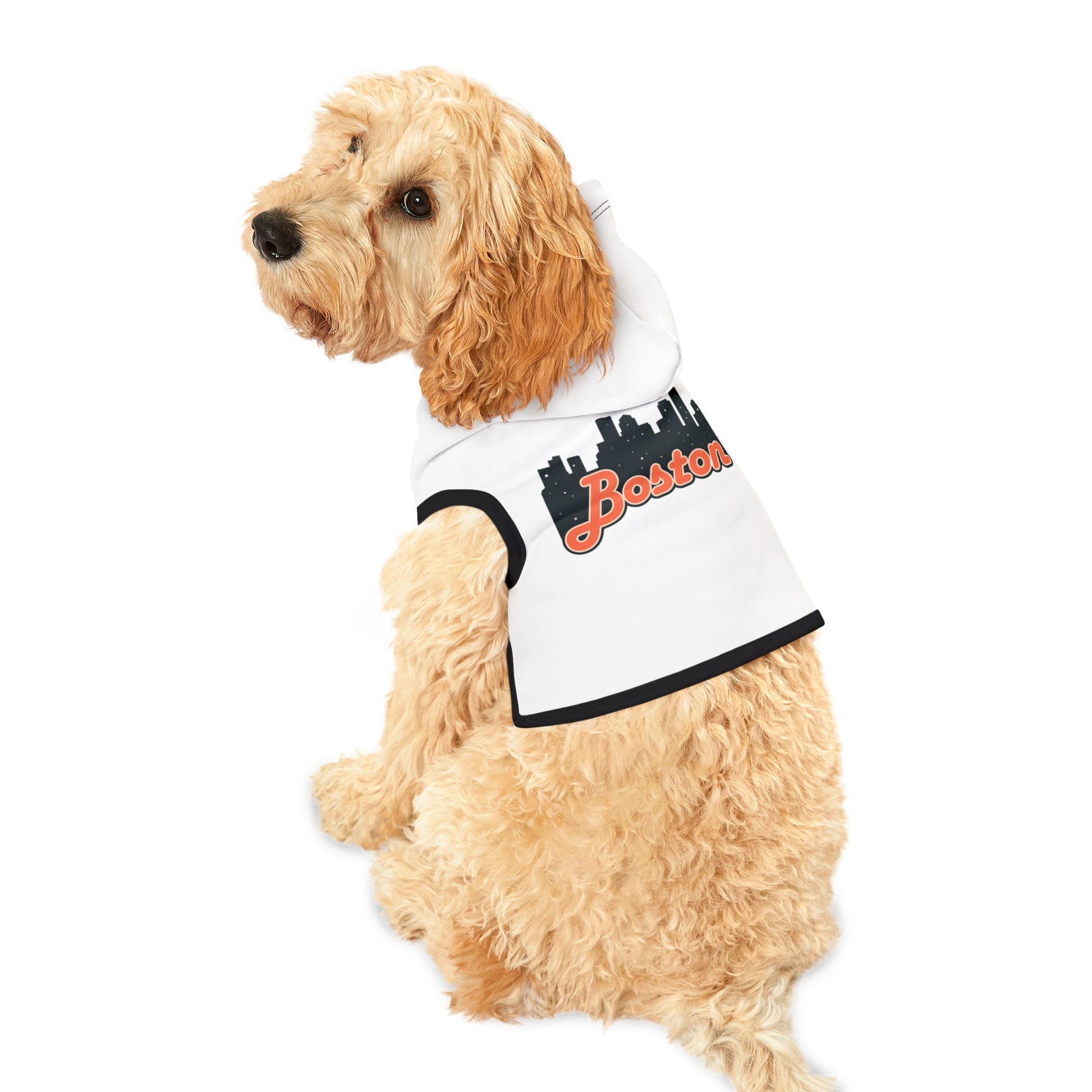 Chic Boston Pet Hoodie, Urban Style Dog Sweater, Cute Pet Apparel for City Dwellers, Fall Fashion, Hip Pet Gift