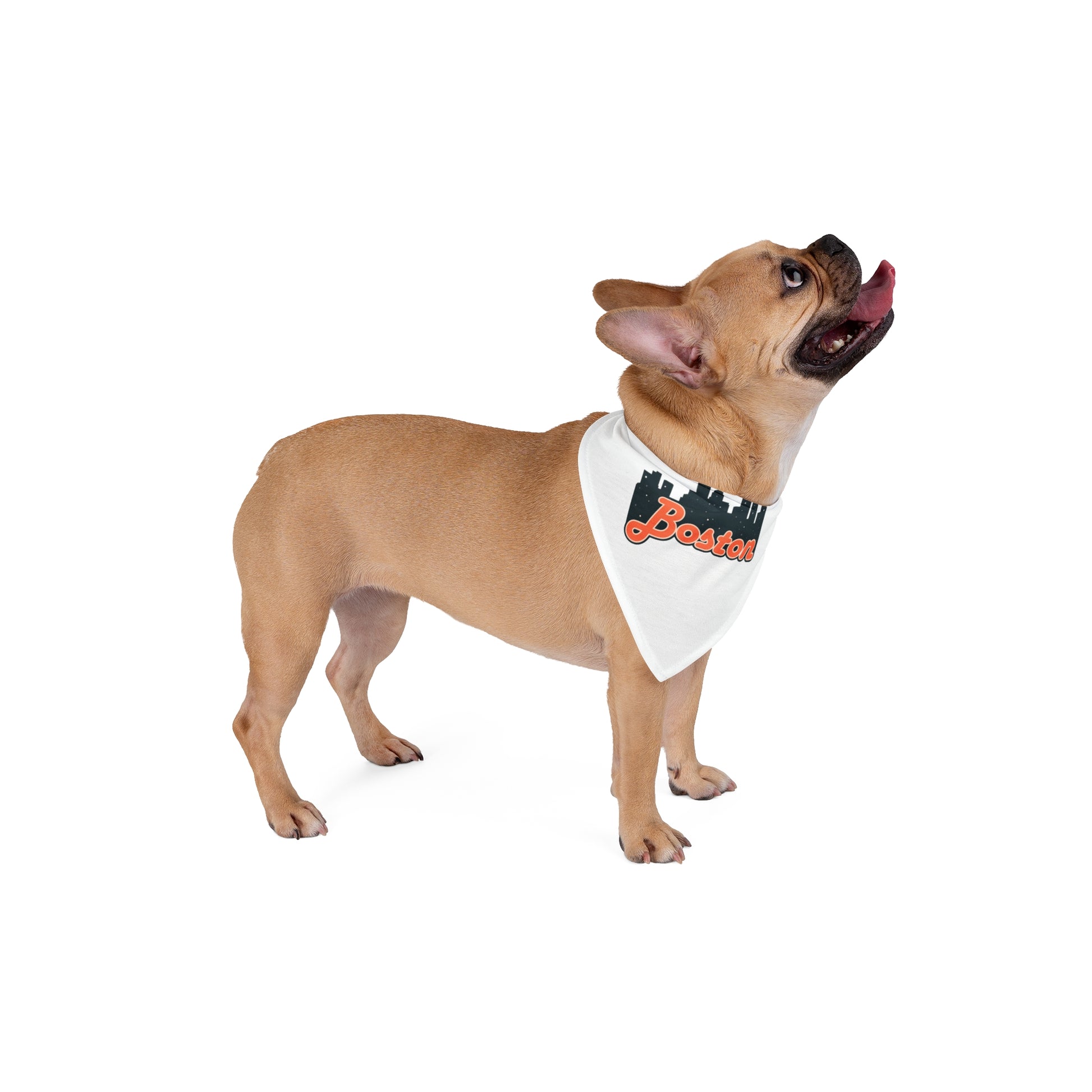 Boston City Pet Bandana | Cute Dog Accessory for Pet Lovers | Customizable Dog Scarf | Gift for Dog Owners | Dog Fashion