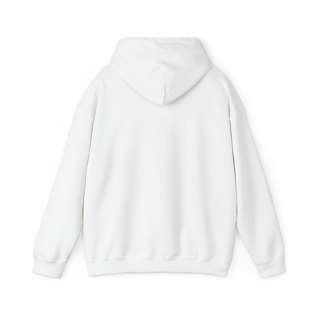 Boston Skyline Unisex Hoodie, Cozy Apparel for Boston Lovers