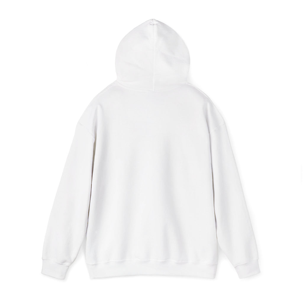 Boston Skyline Unisex Hoodie, Cozy Apparel for Boston Lovers