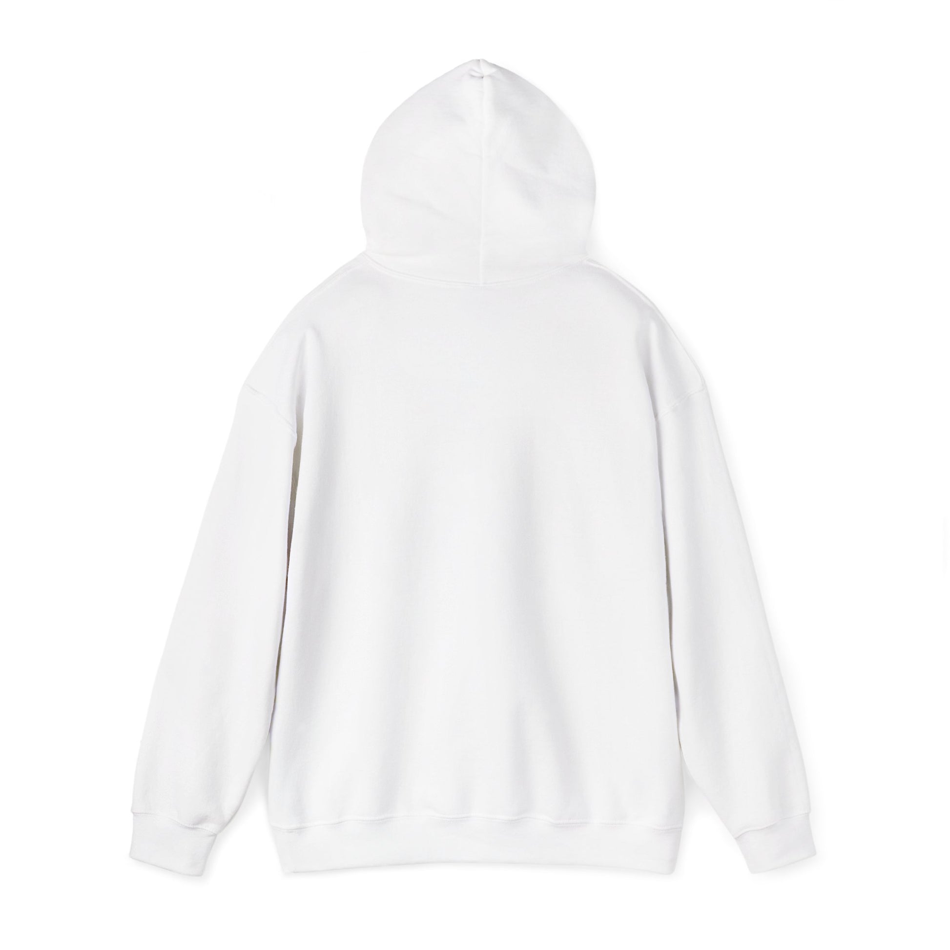 Boston Skyline Unisex Hoodie, Cozy Apparel for Boston Lovers